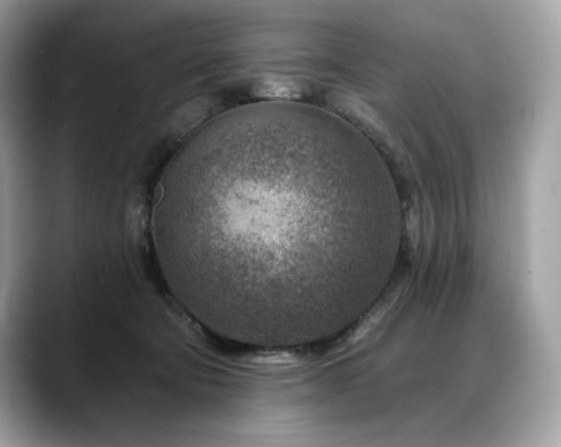 X0000088730322200705311434