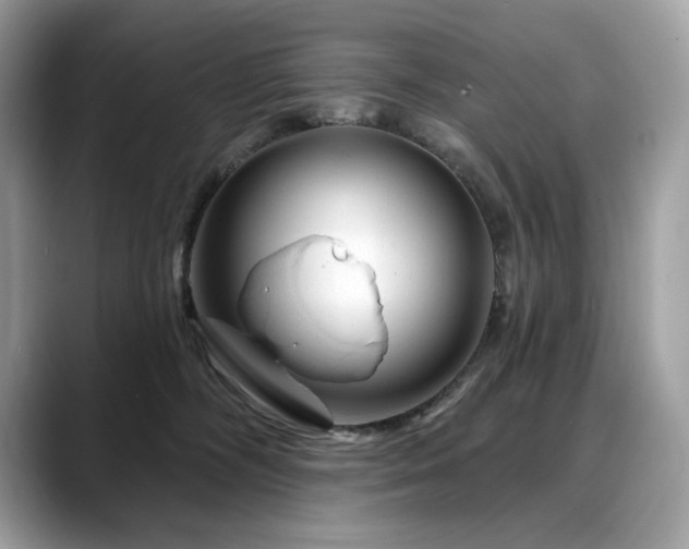 X0000088730326200705311434