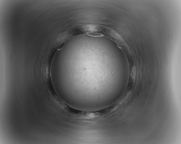 X0000088730330200705311434