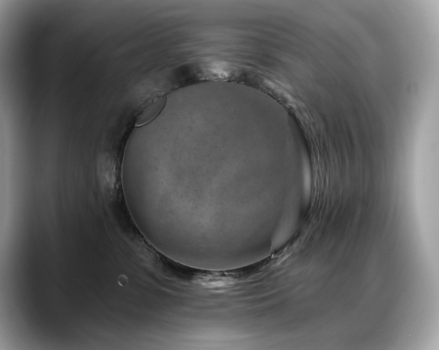 X0000088730331200705311434