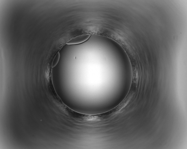 X0000088730334200705311433