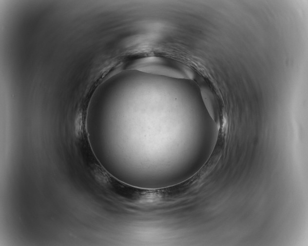 X0000088730335200705311433