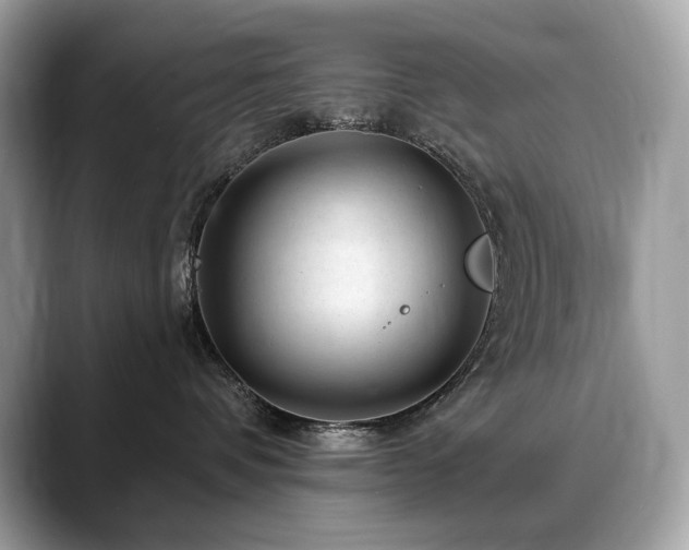 X0000088730336200705311433