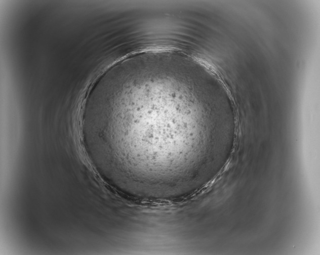 X0000088730337200705311433