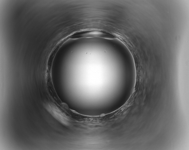 X0000088730338200705311433