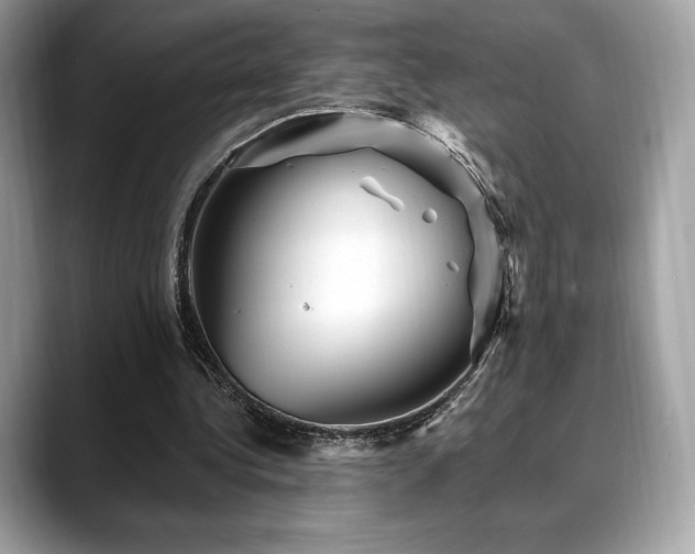 X0000088730340200705311433