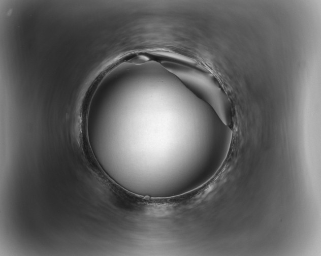 X0000088730342200705311433