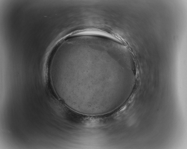 X0000088730343200705311433
