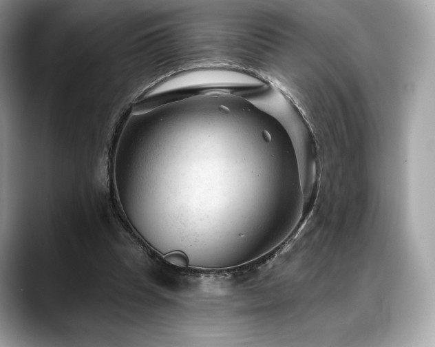 X0000088730345200705311433