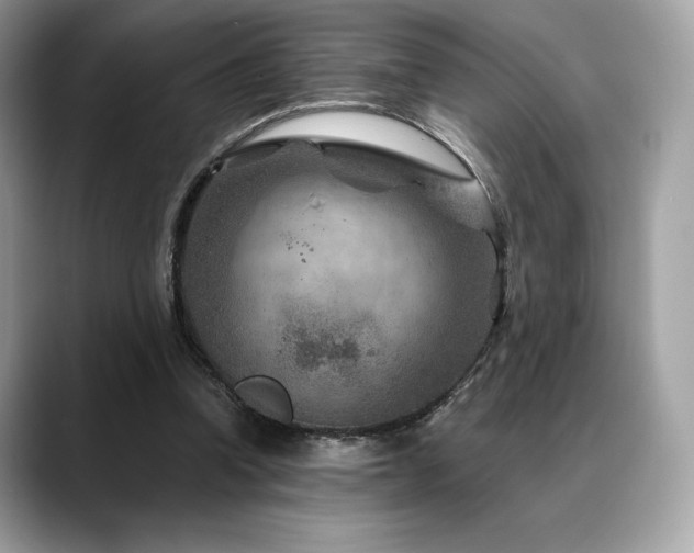 X0000088730346200705311433