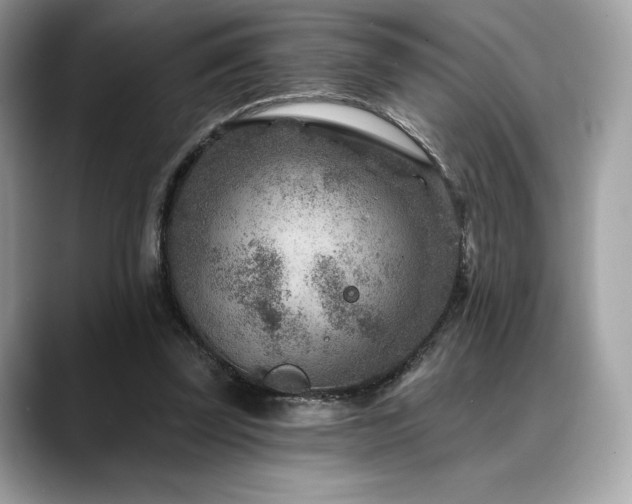X0000088730347200705311433