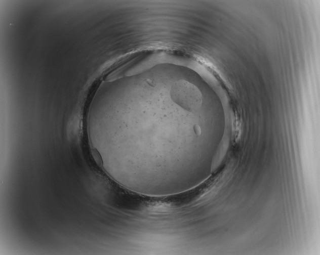 X0000088730348200705311433