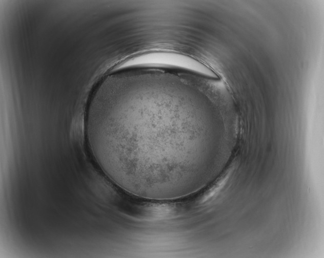 X0000088730349200705311433