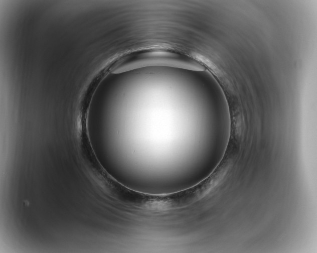 X0000088730350200705311433