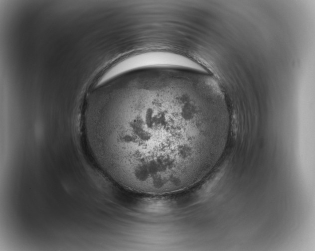 X0000088730351200705311433
