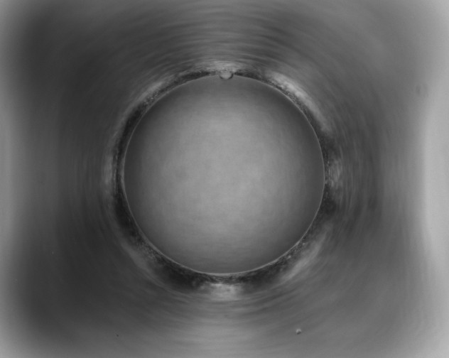X0000088730352200705311433