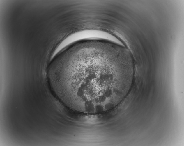 X0000088730353200705311433