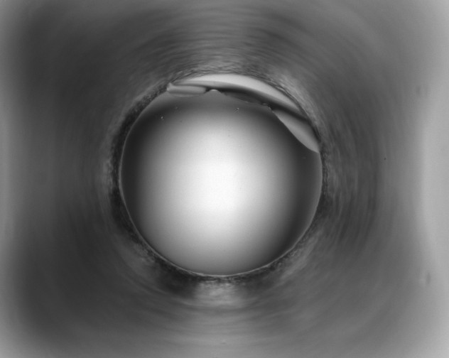 X0000088730354200705311433