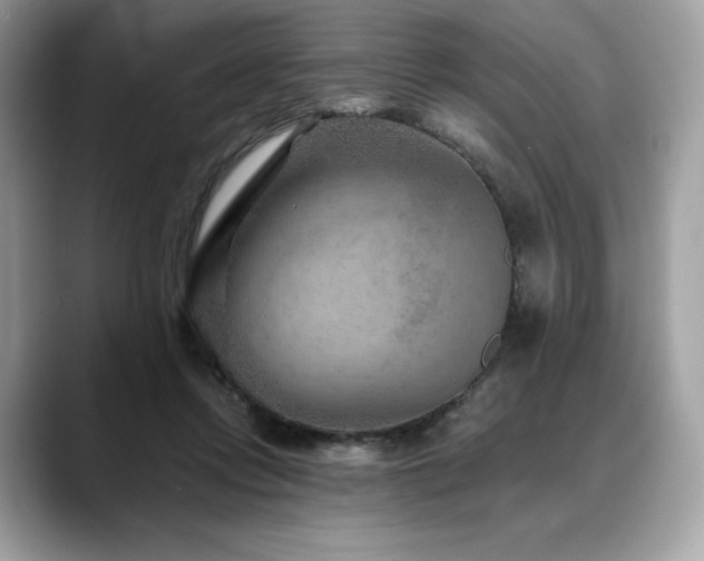X0000088730358200705311433