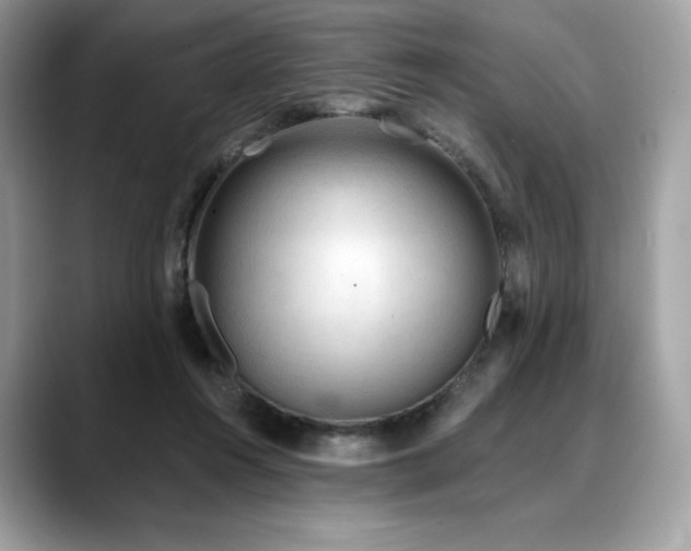 X0000088730360200705311433