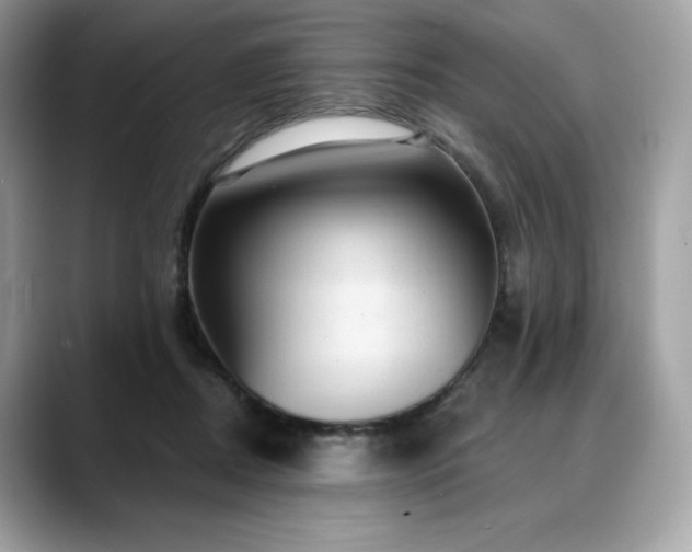 X0000088730362200705311433