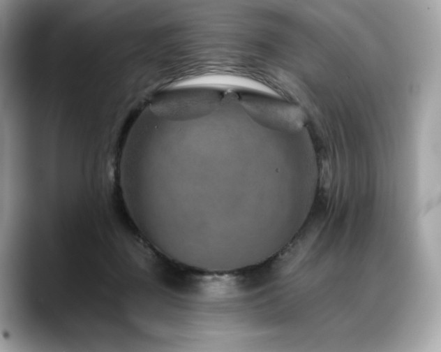 X0000088730363200705311433