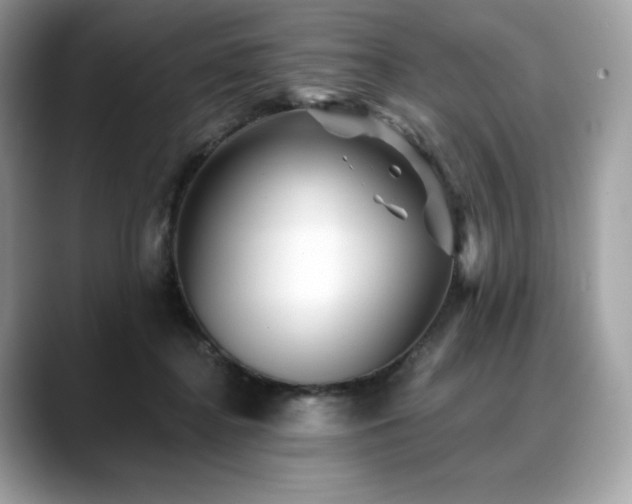 X0000088730364200705311433