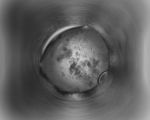 X0000088730365200705311433