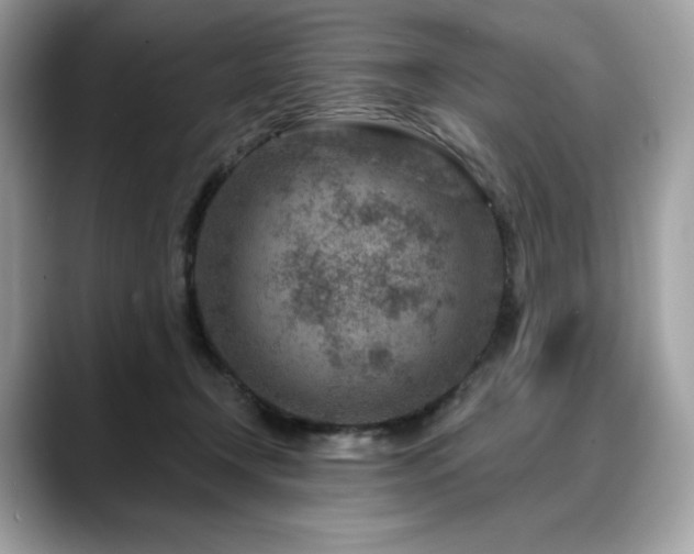 X0000088730366200705311433