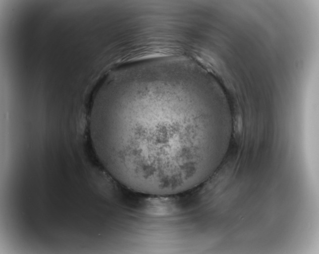 X0000088730367200705311433