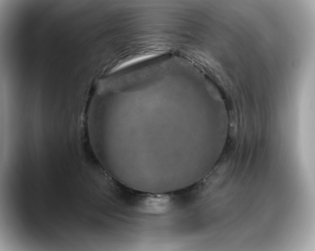 X0000088730369200705311433