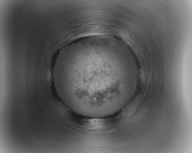 X0000088730371200705311433