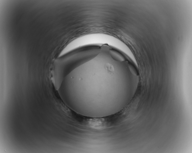 X0000088730373200705311433