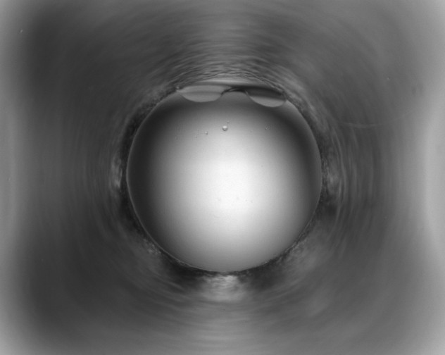 X0000088730374200705311433