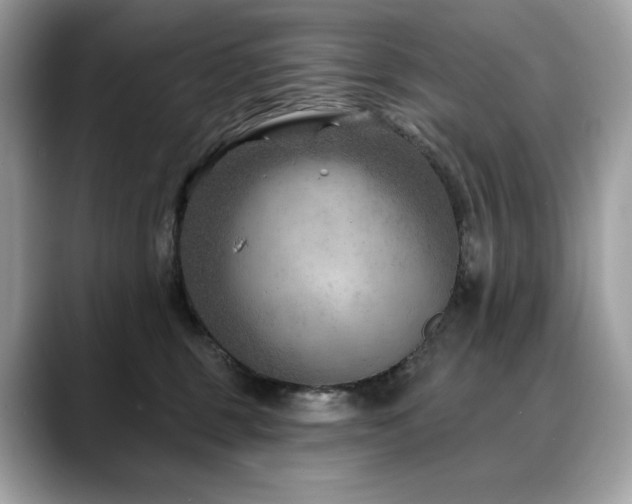 X0000088730375200705311433