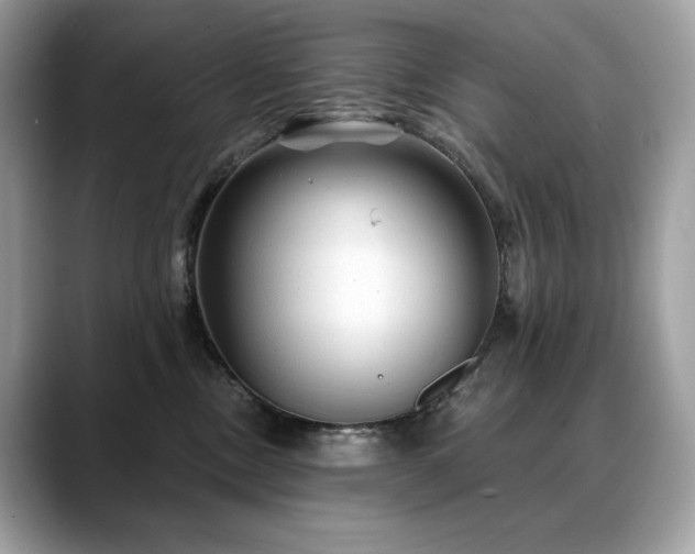X0000088730378200705311433