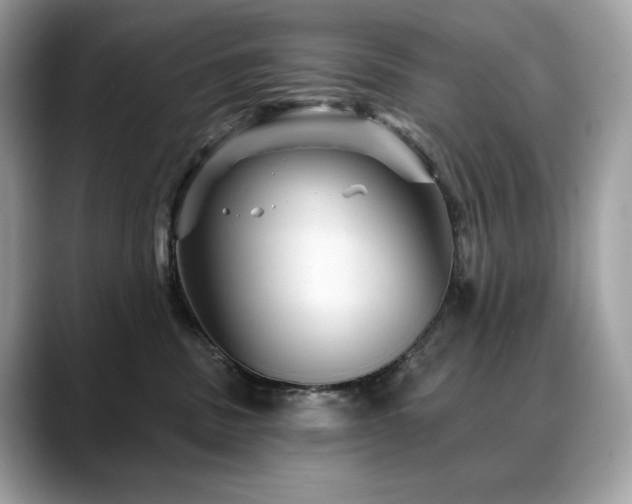 X0000088730379200705311433