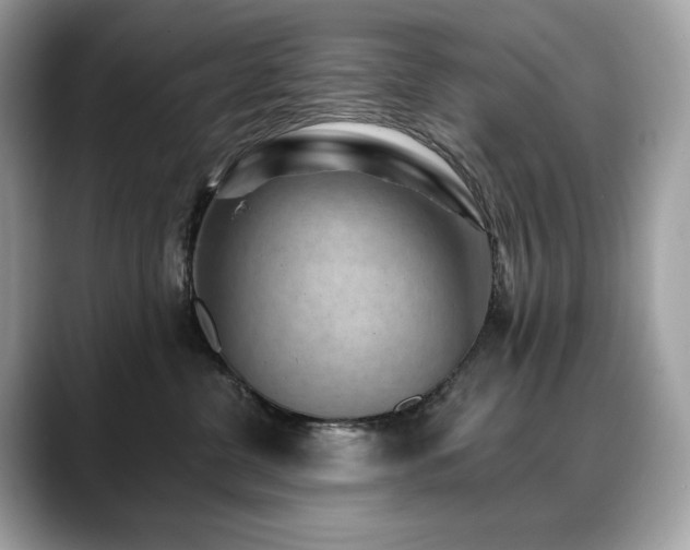 X0000088730380200705311433