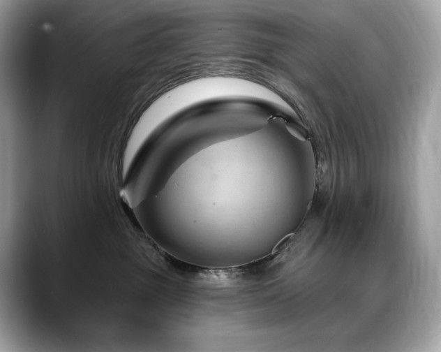 X0000088730381200705311433