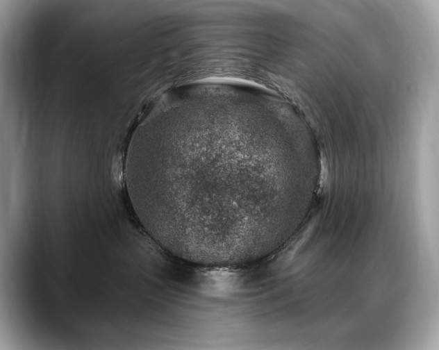 X0000088730383200705311433