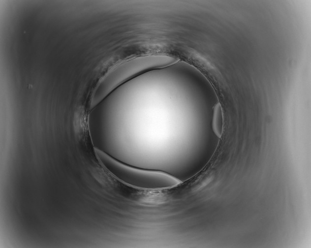 X0000088730384200705311433
