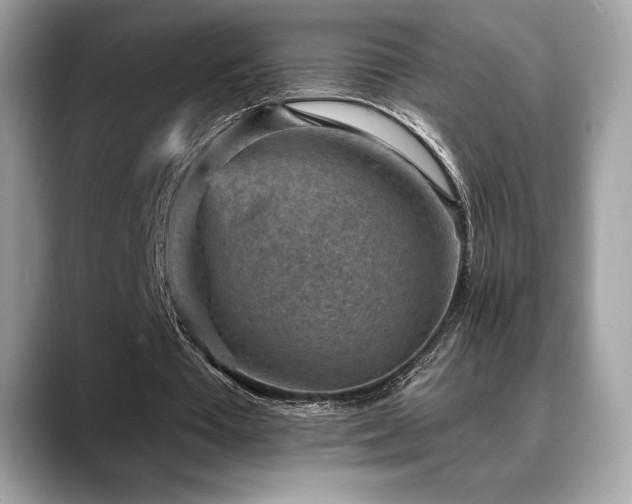 X0000088730385200705311433