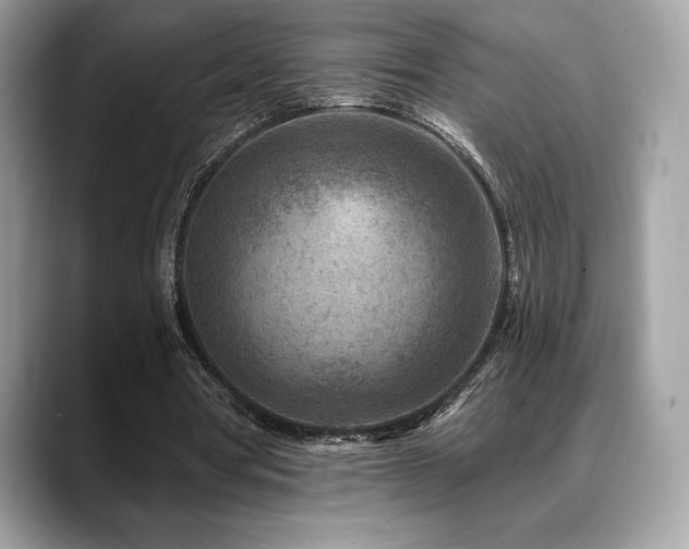 X0000088730386200705311433