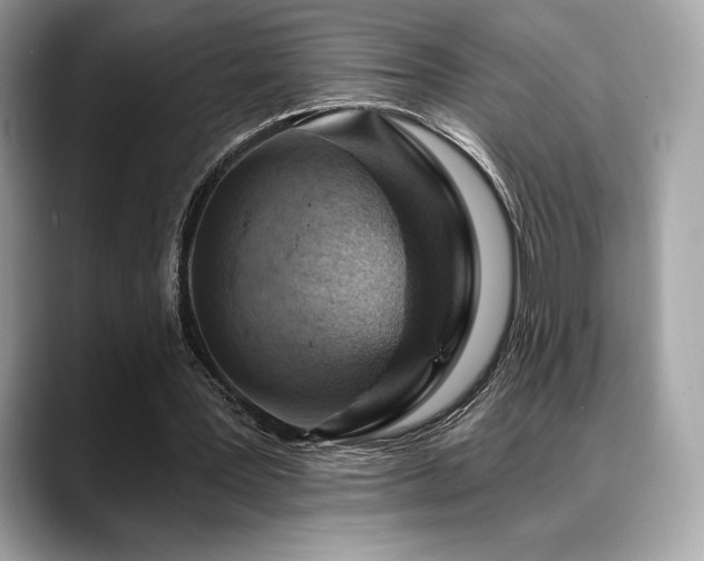 X0000088730387200705311433