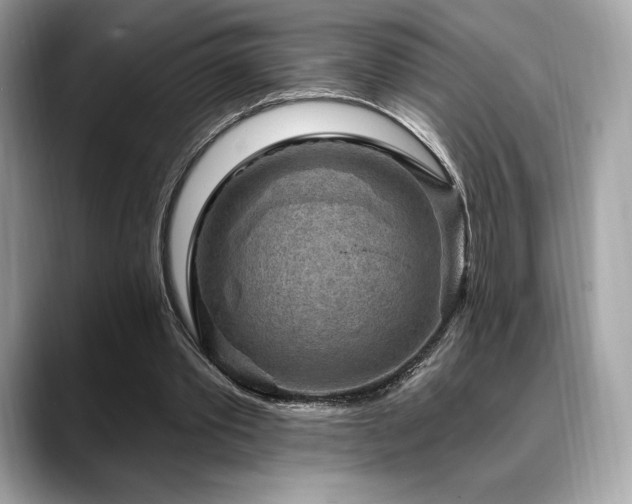 X0000088730389200705311433