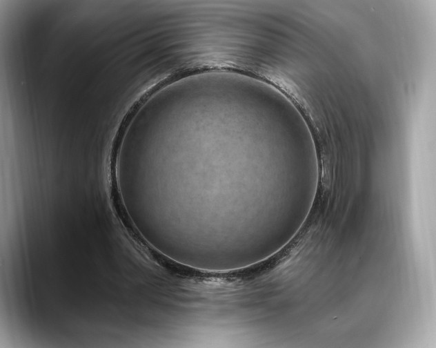 X0000088730390200705311433