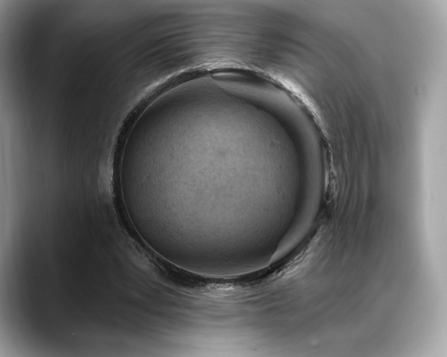 X0000088730391200705311433
