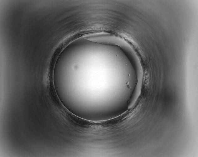 X0000088730392200705311433