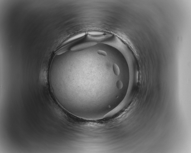 X0000088730393200705311433