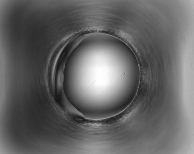 X0000088730395200705311433